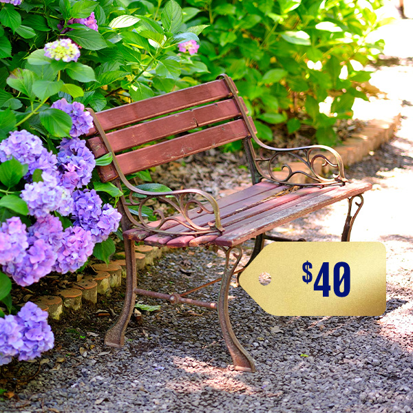 Click here for more information about PLANTS & GARDENING: $40