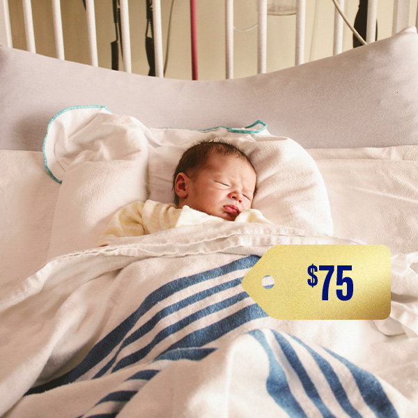 Click here for more information about POST OPERATION BLANKET WARMER: $75